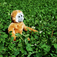 album cover for Polly Gean and Revelers single Another Year Older Today